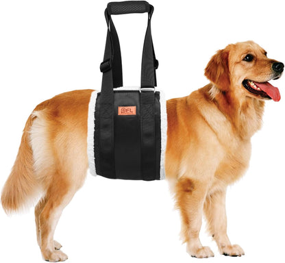 Houndly Mobility Support