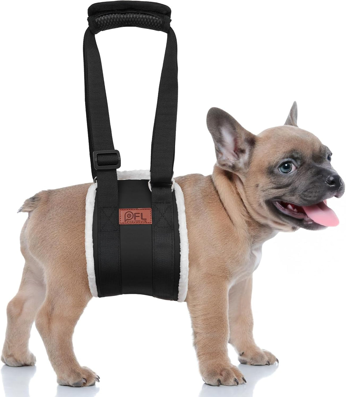 Adjustable Dog Sling for Large Dogs Hind Leg Support Weak Legs Mobility Aid