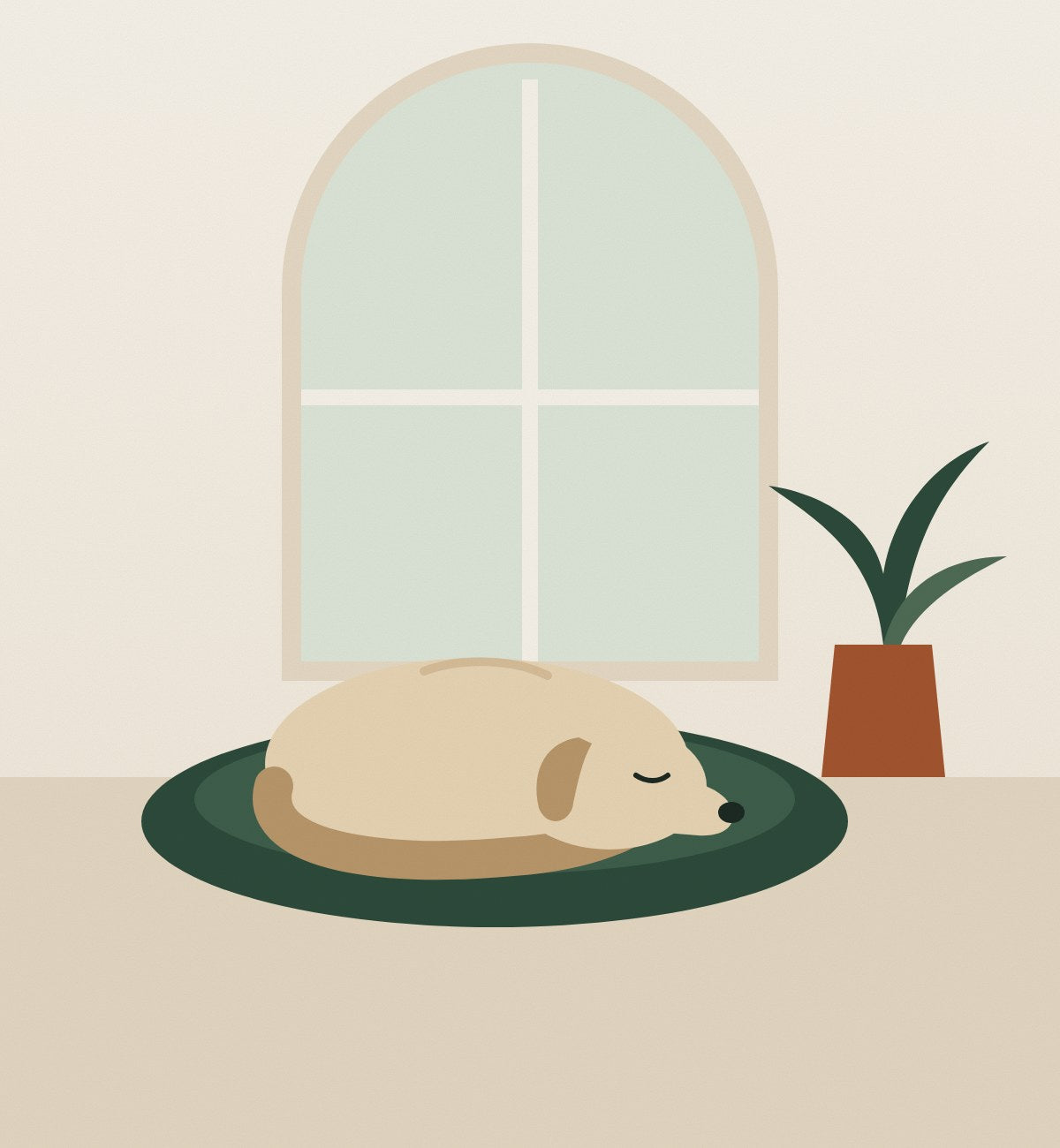 Home comfort